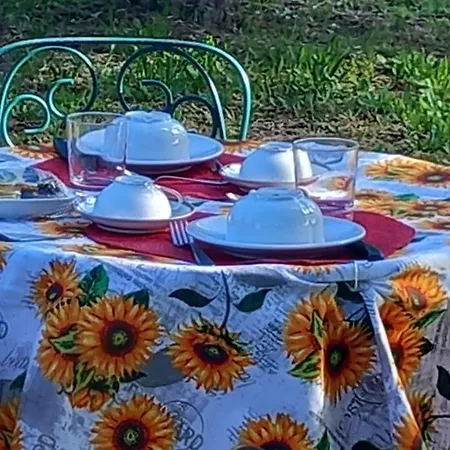 Sunshine Homestay szállás