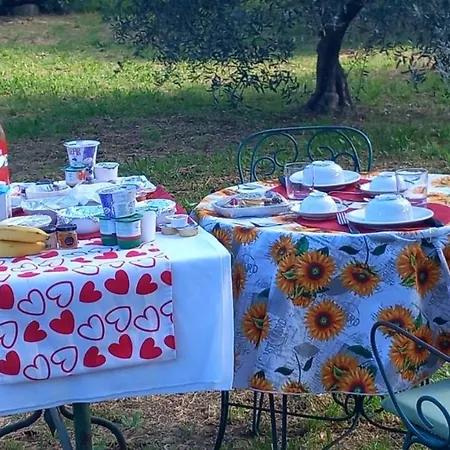 Sunshine * פירנצה