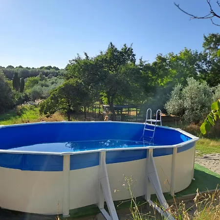 Sunshine Homestay Florence