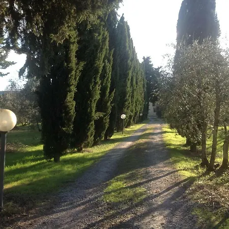 Sunshine *