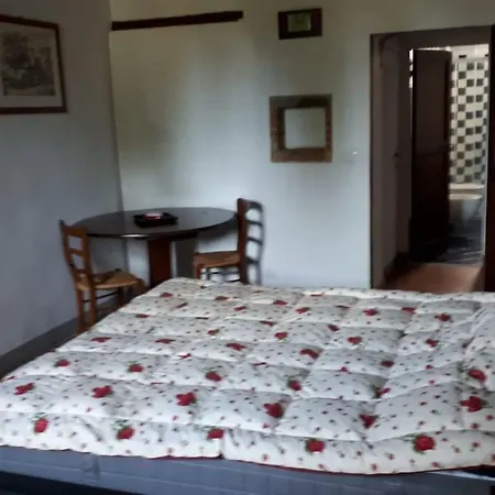 Homestay Sunshine