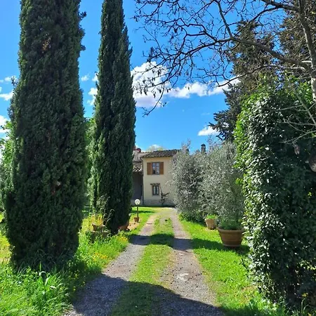 Sunshine Firenze