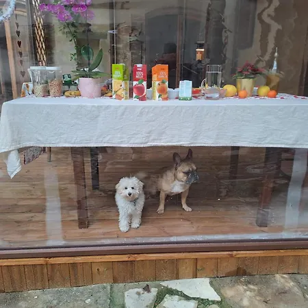 Privatunterkunft Sunshine Florenz