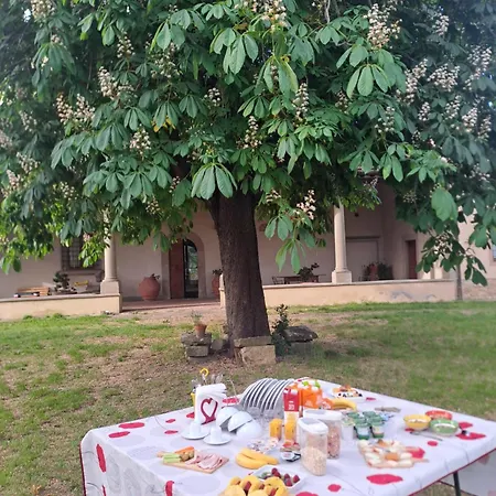 Sunshine Privatunterkunft *